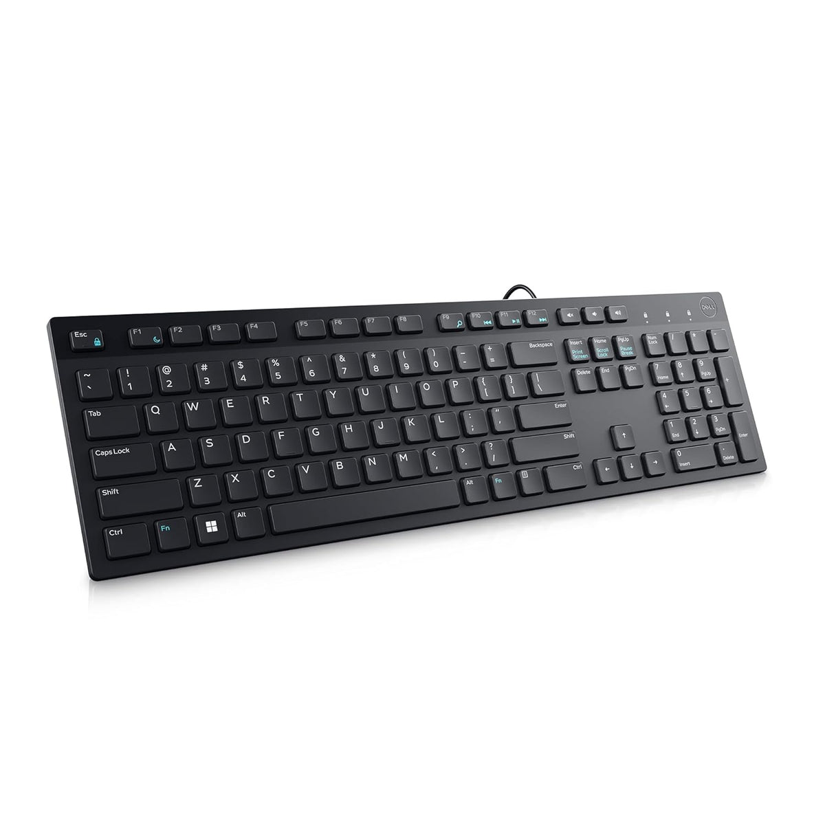 Dell KB216 Wired Multimedia Keyboard - Full-Size Layout with USB Interface, Chiclet Keys, Spill Resistance with 3 Indicator Lights